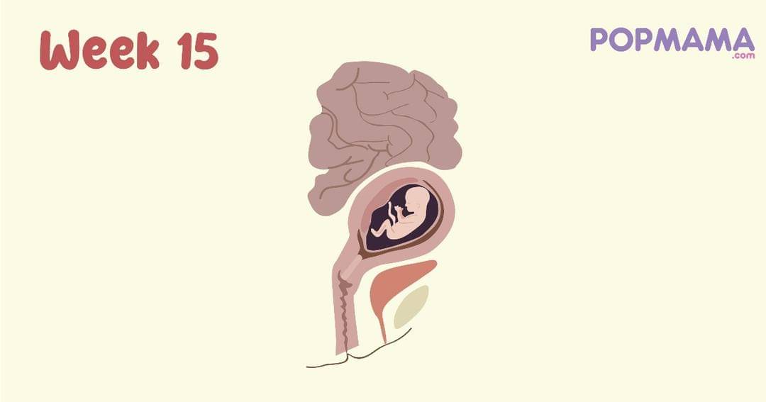 Popmama.com/Aristika Medinasari